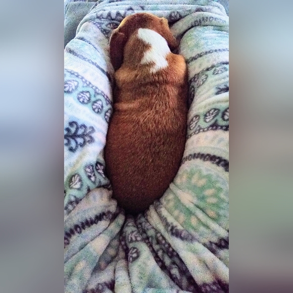 Meet your Posher, Beth - Picture 12 of 13